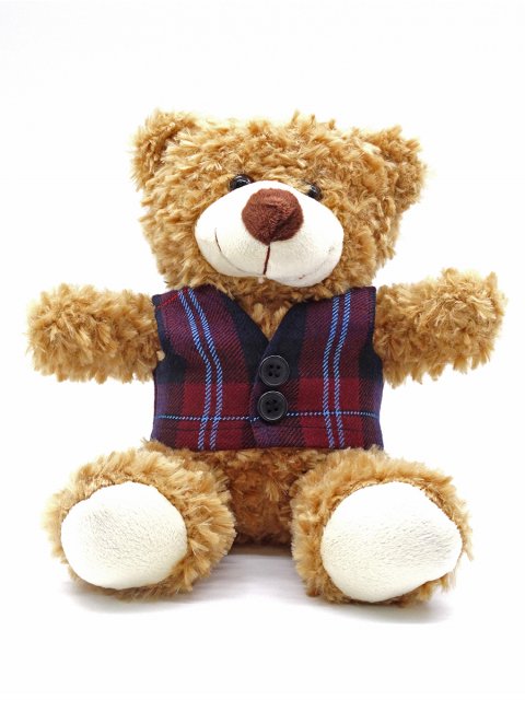'Dafydd' The Teddy Bear